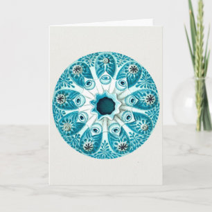 Cartão De Festividades Ernst Haeckel Artforms De Cartaz De Saudação Da Na