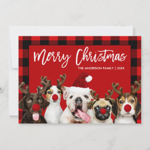 Cartão De Festividades Escoteiro Feliz Cachorro de Natal Xadrez Vermelha