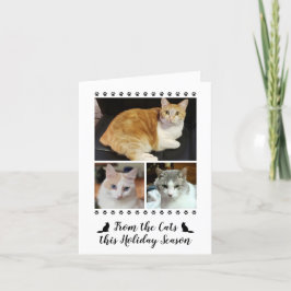Cartão De Festividades Escrita Fotográfica Engraçada De Cat Dog Pet