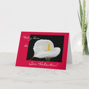 Cartão De Festividades Espanhol: Dia dos namorados/Diâmetro de San