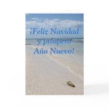 Espanhol Isla Saona Caribe Praia Feliz Natal