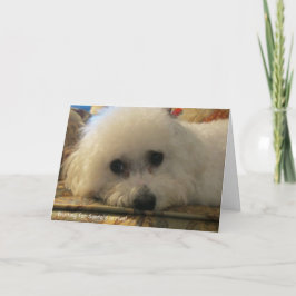 Cartão De Festividades "Esperando pela chegada dos Papais noeis"