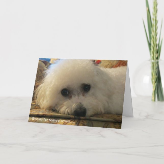 Cartão De Festividades "Esperando pela chegada dos Papais noeis" (Frente)