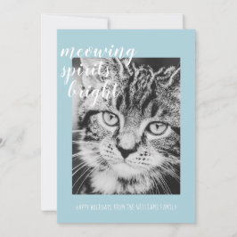 Cartão De Festividades Espíritos que Miavam Iluminam o Feriado da Foto do