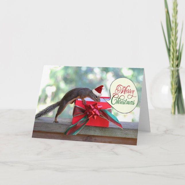 Cartão De Festividades Esquilo Aberto Natal Presente (Frente)