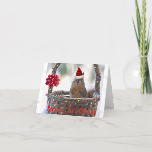 Cartão De Festividades Esquilo de Natal engraçado