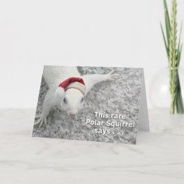 Cartão De Festividades Esquilo de Natal Raro