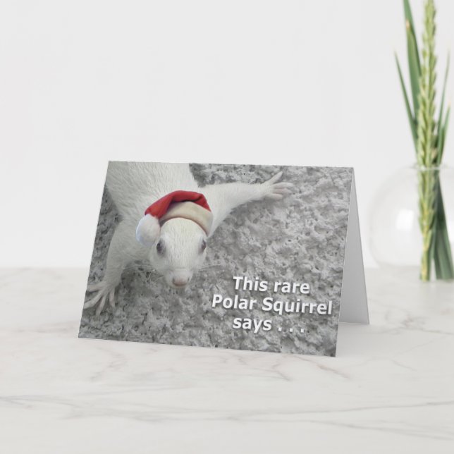 Cartão De Festividades Esquilo de Natal Raro (Frente)