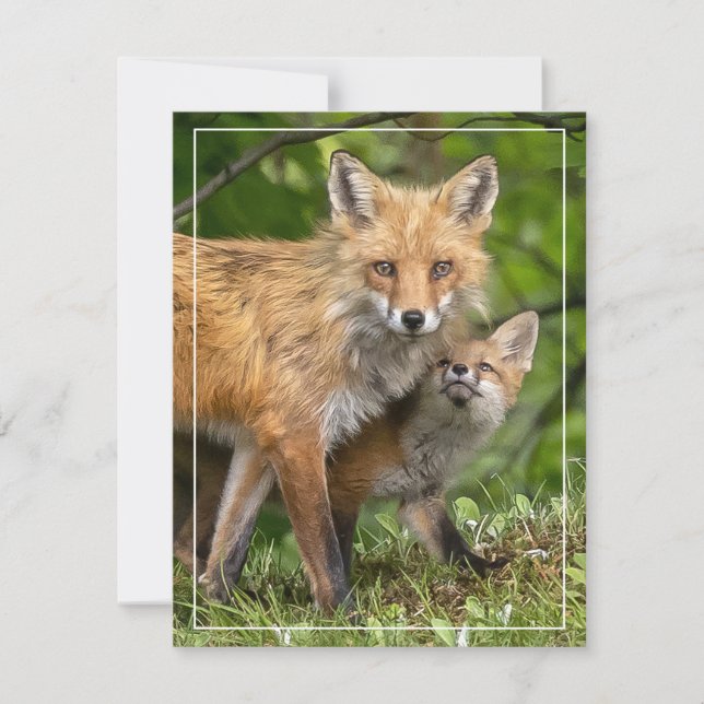 Cartão De Festividades Esse é o meu Pai (Frente)