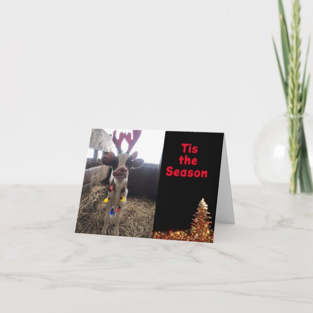 CARTÃO DE FESTIVIDADES ESTA É A ÉPOCA PARA **CELEBRAR COM VOCÊ** (Frente)