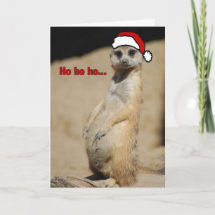 Cartão De Festividades Esta Grávida Papais noeis De Meerkat Momma