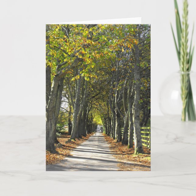 Cartão De Festividades Estrada rural em Jersey (Frente)