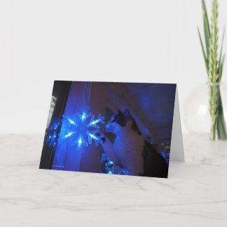 Cartão De Festividades Estrela da Maravilha