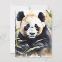 Estudo E - Aquarelas do Urso Panda