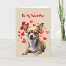 Eu Adoro Você Cachorrinho Chihuahua Valentão