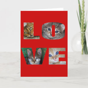 Cartão De Festividades Eu Amo Gatos