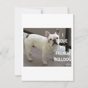 Cartão De Festividades Eu Amo Meu Buldogue Francês