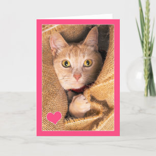 Cartão De Festividades Eu Amo-Te, Gato Laranja, Amor e Humor Romance