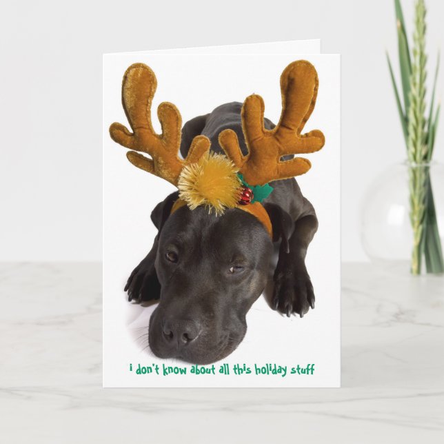 Cartão De Festividades eu não sei sobre todas essas coisas de feriado (Frente)