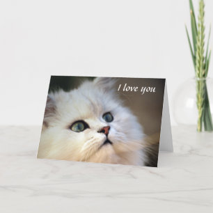 Cartão De Festividades eu te amo - gatinho