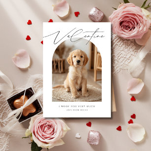 Cartão De Festividades Eu Te Dava Muito Namorados Fotográficos De Cachorr