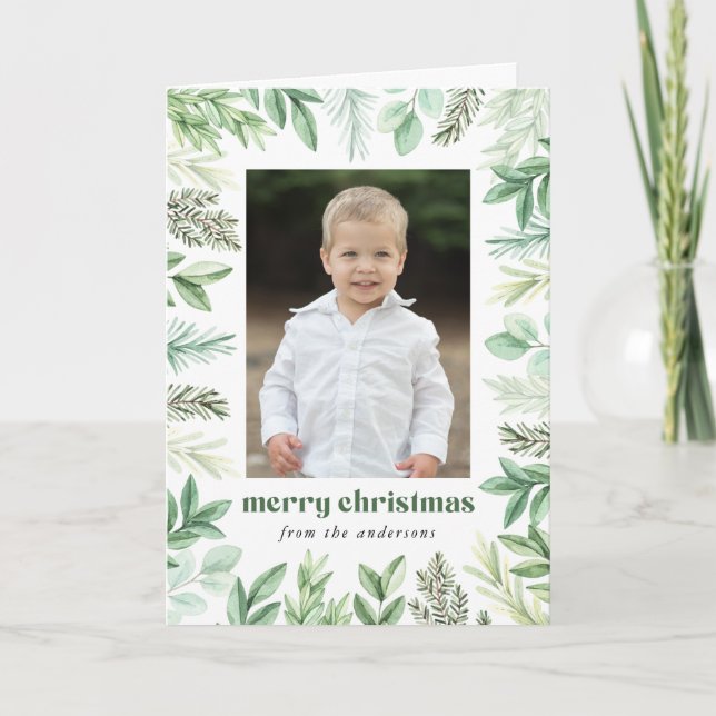Cartão De Festividades Eucalipto e Evergreen 2 Foto (Frente)