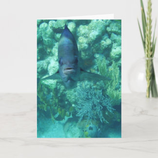 Cartão De Festividades Face-to-Fish Card