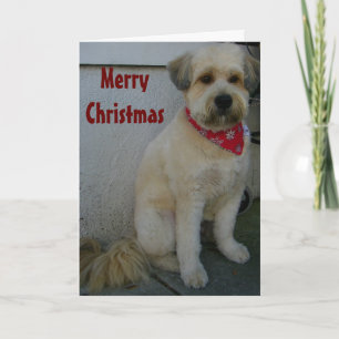 CARTÃO DE FESTIVIDADES FALANDO TERRIER, TERRIER-IFIC MERRY NATMAS