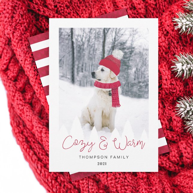 Cartão De Festividades Família Cozy & Warm & Pet Photo Winter Hat & Scarf (Cozy & Warm Family & Pet Photo Winter Hat & Scarf Holiday Card)