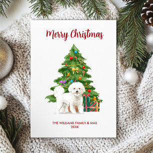 Cartão De Festividades Família de cachorro Bichon Frise fofo no Natal