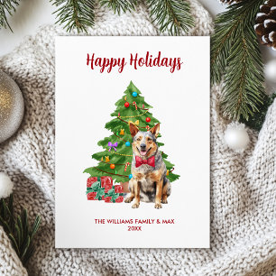 Cartão De Festividades Família de Cão Blue Heeler Natal