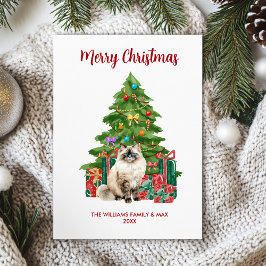 Cartão De Festividades Família de Gatos Ragdoll Natal