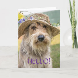 CARTÃO DE FESTIVIDADES FANCY PUP - THINKING OF YOU CARD