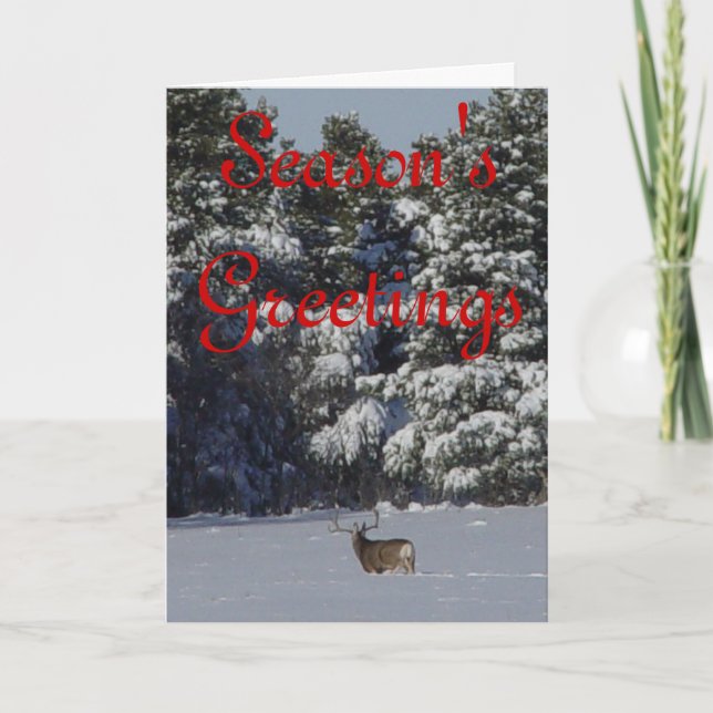 Cartão De Festividades Fanfarrão dos cervos de mula D17 na neve (Frente)