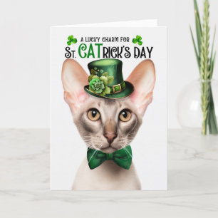 Cartão De Festividades Fawn Oriental Shorthair Cat Rua CATrick