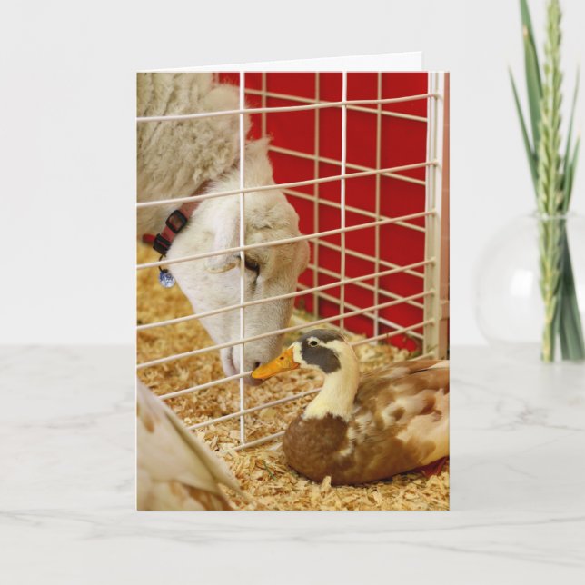 Cartão De Festividades Fazemos um par estranho... (Frente)