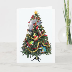 Cartão De Festividades Feathered Family Christmas Card