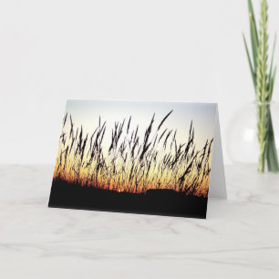 Cartão De Festividades Feathers of the Plains