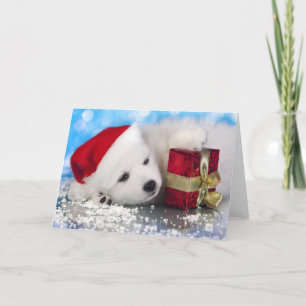 Cartão De Festividades Febre Branca Com Presente Em Patas