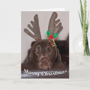 Cartão De Festividades Feche O Labrador Com Fotografia De Antlers