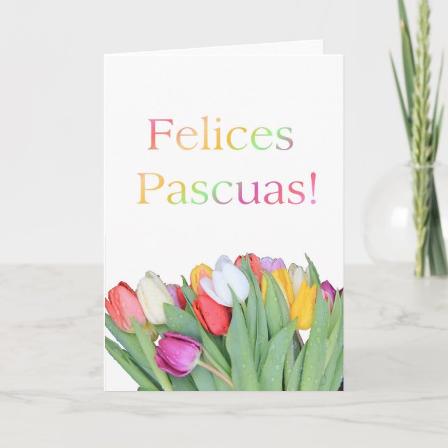 Cartão De Festividades Felices Pascuas spanish Felz pascoa (Frente)