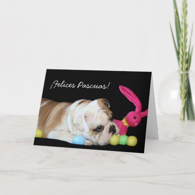 Cartão De Festividades ¡Felices Pascuas!  tarjeta de bulldog Ingles (Frente)