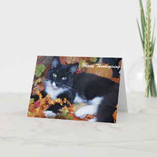 Cartão De Festividades Feliz Ação de Graças