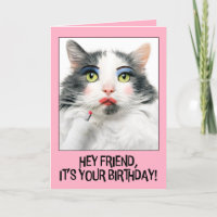 Feliz Aniversário, Amigo Engraçado Gato em maquiag
