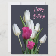Feliz aniversário, bonito tulipa rosa, na moda flo