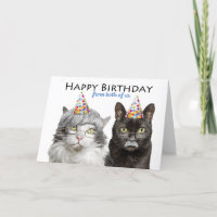 Feliz Aniversário De Ambos Os Velhos Gatos Humor