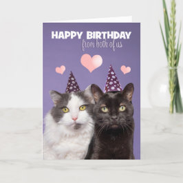 Cartão De Festividades Feliz Aniversário De Nós Dois Gatos Gons