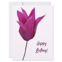 Feliz aniversário elegante tulipa rosa-minimalista