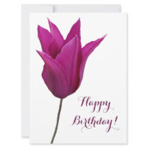 Feliz aniversário elegante tulipa rosa-minimalista