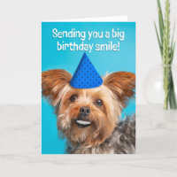 Feliz aniversário, Engraçado, Yorkie cão com dente